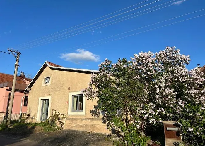 Lipovec, Dum K Pronajmu, Zelezne Hory Holiday home *